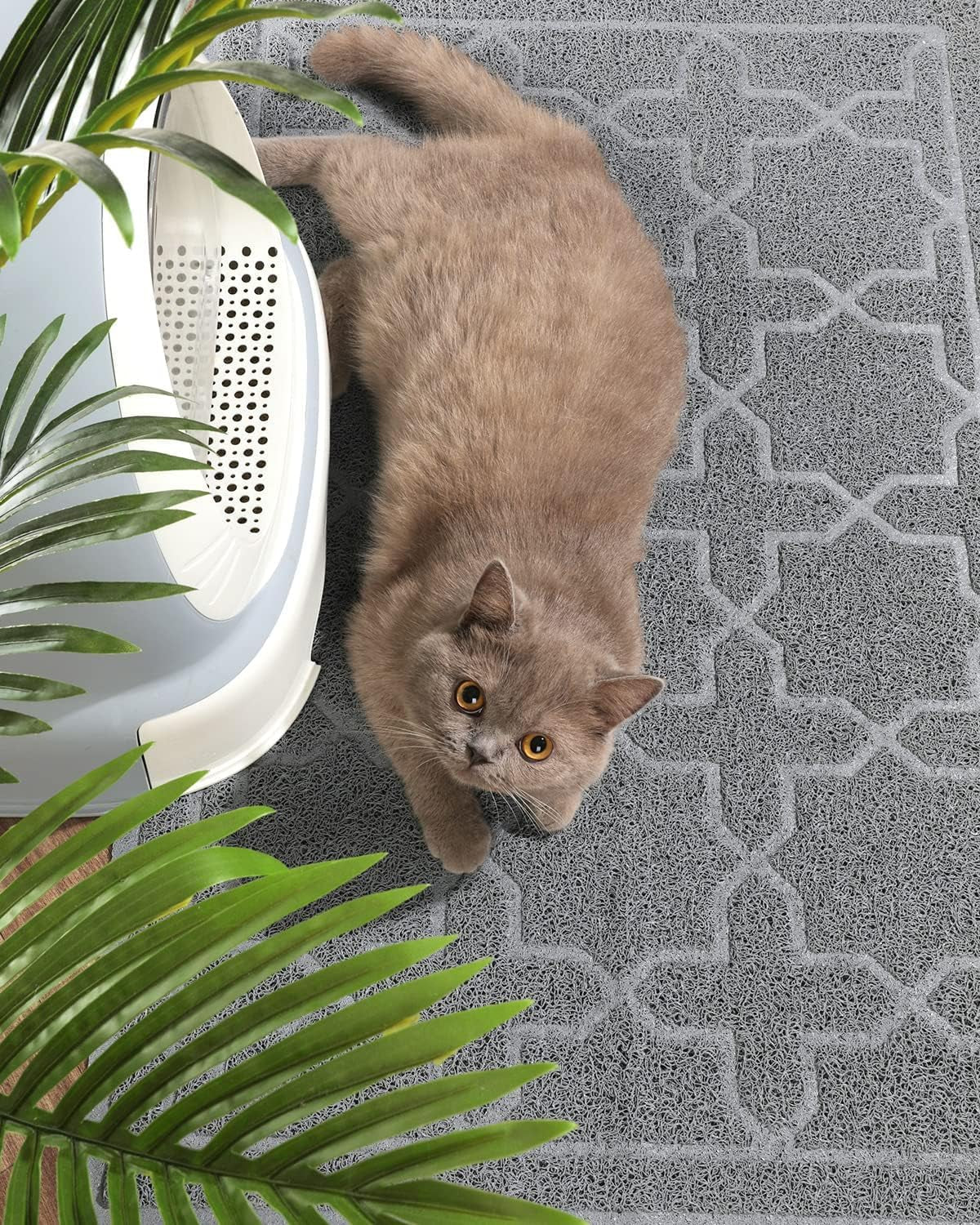 Cat Litter Mat – 35.4" x 23.6" Litter Box Mat with Litter Lock Mesh, Soft, Non - Slip, Water - Resistant, Easy to Clean – Keep Floors Litter - Free (Dark Grey) - RELUX.STORE