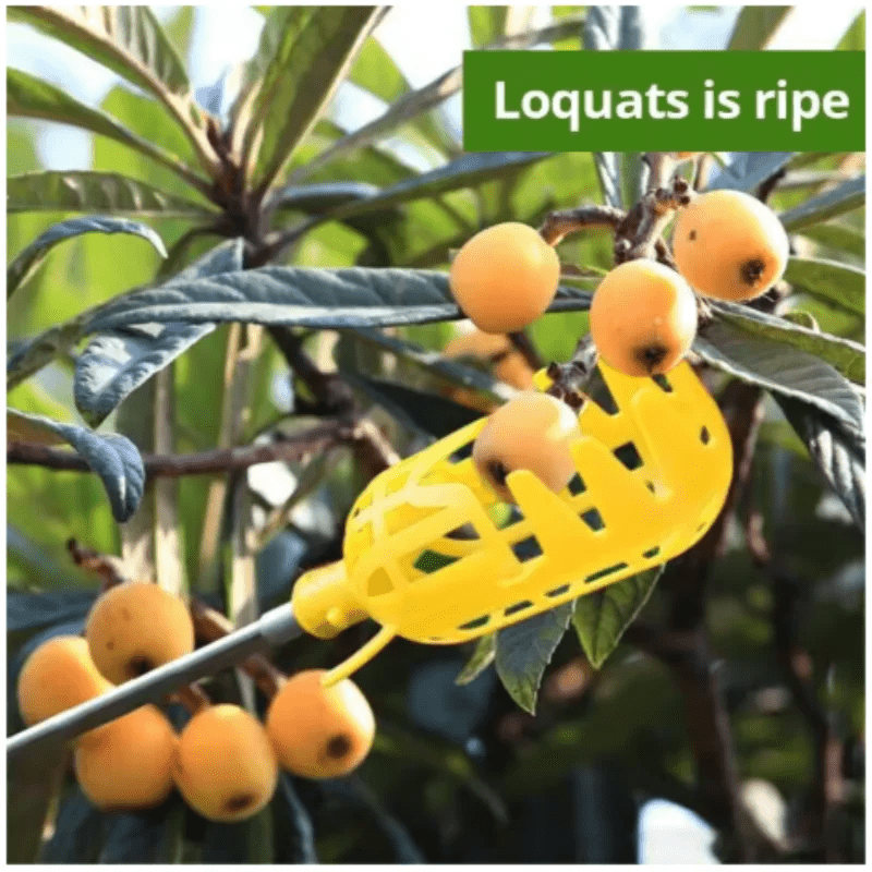 "Farm Orchard Fruit Picking Tool – Deep Basket Fruit Picker Head for Waxberries, Loquats, Apples & Citrus | Convenient Handheld Fruit Catcher" - RELUX.STORE