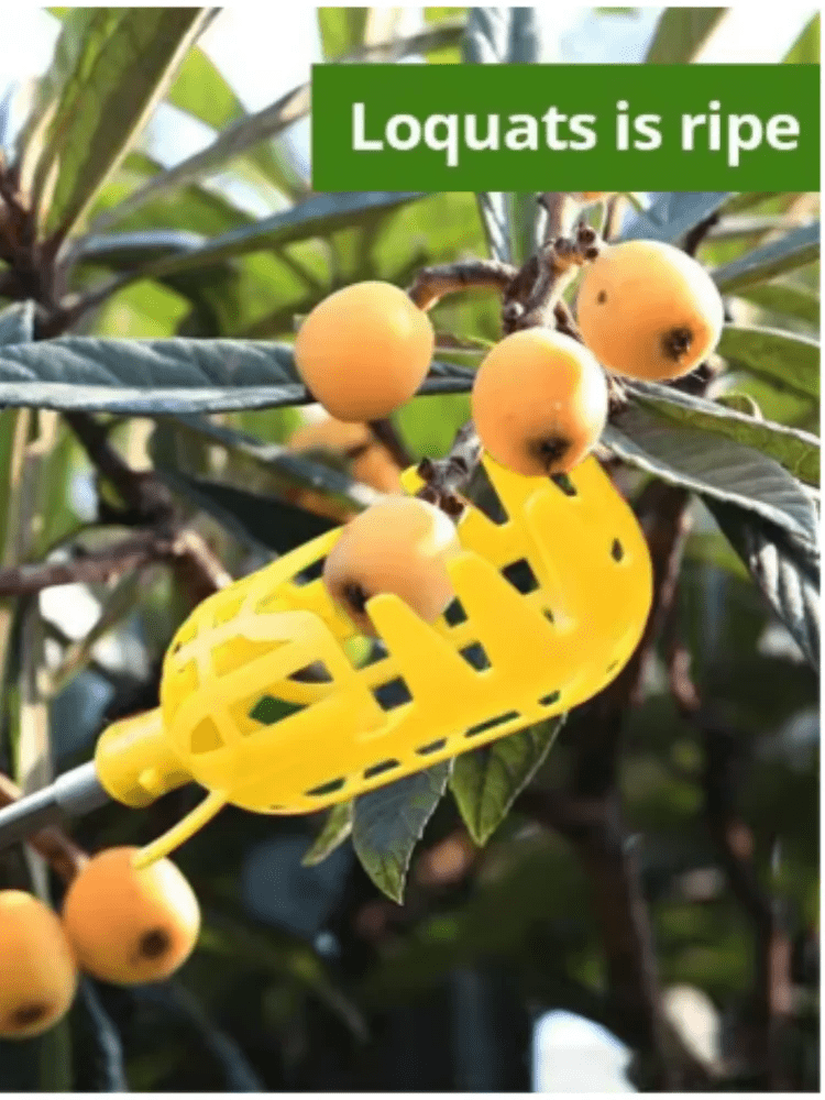 "Farm Orchard Fruit Picking Tool – Deep Basket Fruit Picker Head for Waxberries, Loquats, Apples & Citrus | Convenient Handheld Fruit Catcher" - RELUX.STORE