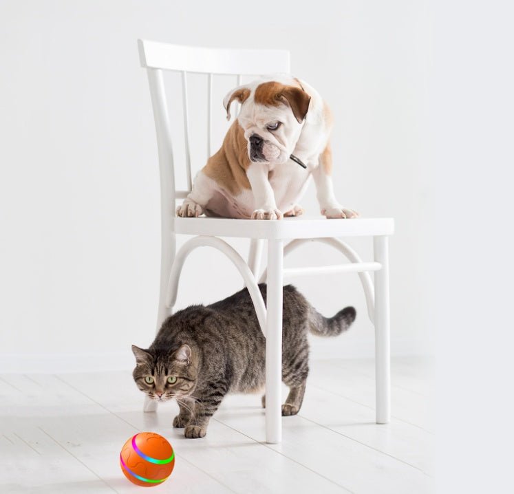 “Intelligent Self - Rotating Cat Ball Toy – USB Automatic Interactive Play for Cats, Fun & Engaging Pet Entertainment” - RELUX.STORE