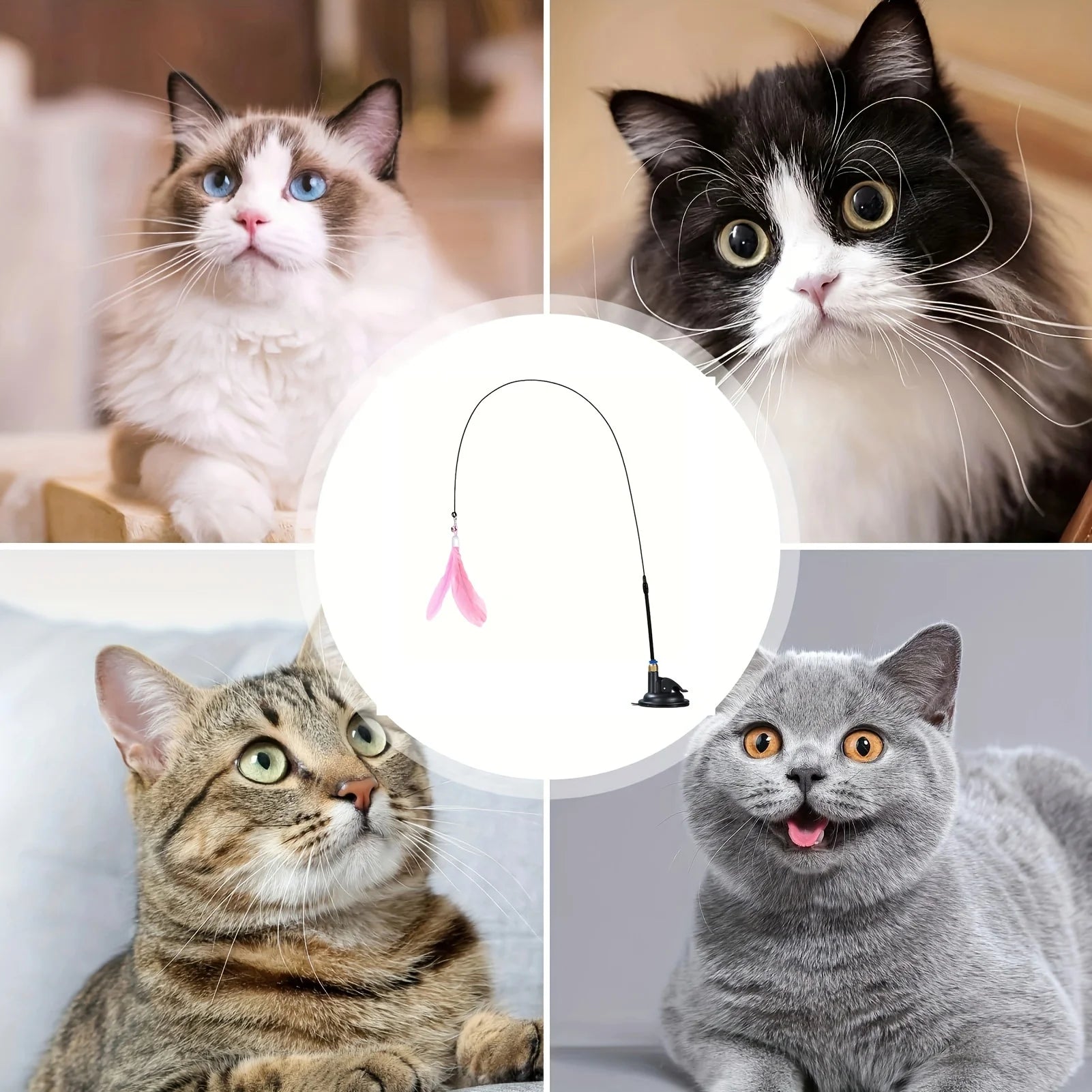 “Interactive Cat Teaser Toy – Bell & Feather Wand with Long Suction Cup Pole for Fun, Active Playtime” - RELUX.STORE