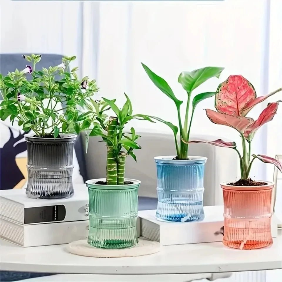 "Lazy Hydroponic Flower Pot – Transparent Self - Watering Planter, Automatic Water - Absorbing Double - Layer Plastic Pot for Office, Home & Garden" - RELUX.STORE
