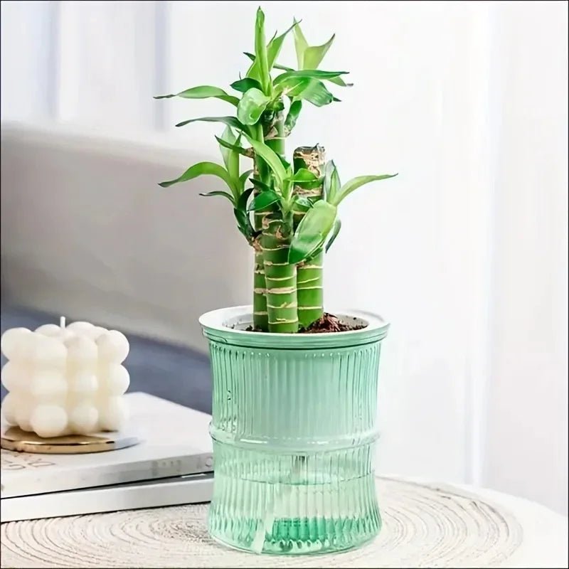 "Lazy Hydroponic Flower Pot – Transparent Self - Watering Planter, Automatic Water - Absorbing Double - Layer Plastic Pot for Office, Home & Garden" - RELUX.STORE