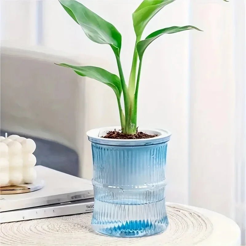 "Lazy Hydroponic Flower Pot – Transparent Self - Watering Planter, Automatic Water - Absorbing Double - Layer Plastic Pot for Office, Home & Garden" - RELUX.STORE