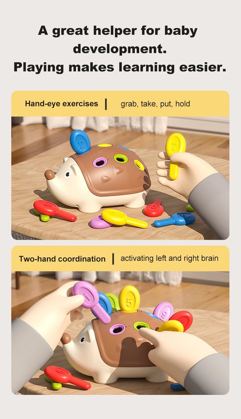 “Montessori Baby Hedgehog Toy – Fine Motor Sensory & Concentration Training Educational Toy for Toddlers, Birthday Gift for Kids” - RELUX.STORE