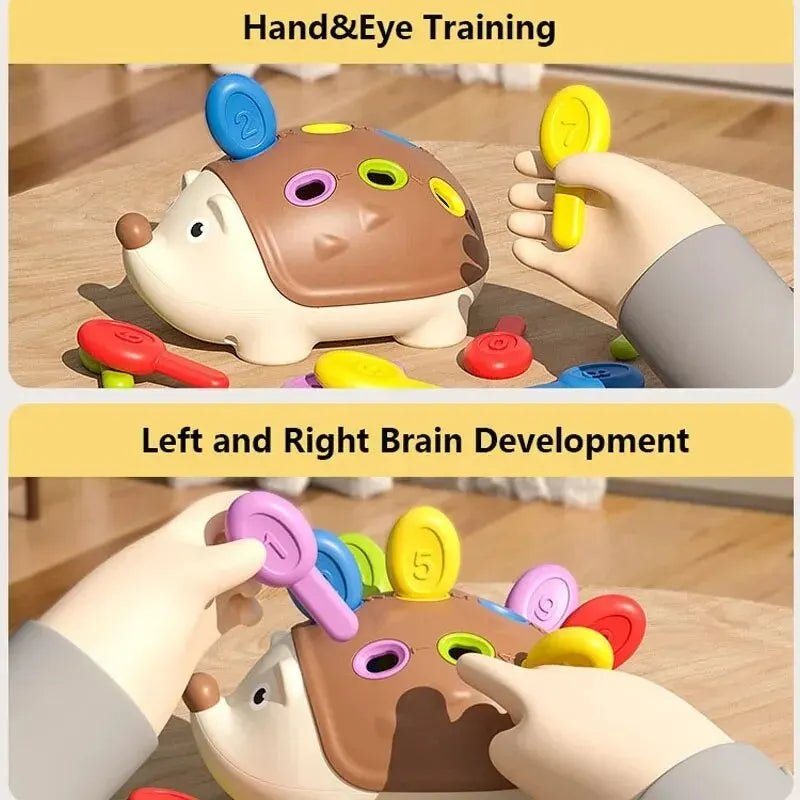 “Montessori Baby Hedgehog Toy – Fine Motor Sensory & Concentration Training Educational Toy for Toddlers, Birthday Gift for Kids” - RELUX.STORE