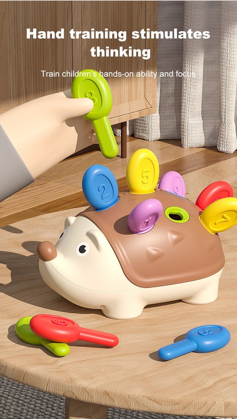 “Montessori Baby Hedgehog Toy – Fine Motor Sensory & Concentration Training Educational Toy for Toddlers, Birthday Gift for Kids” - RELUX.STORE