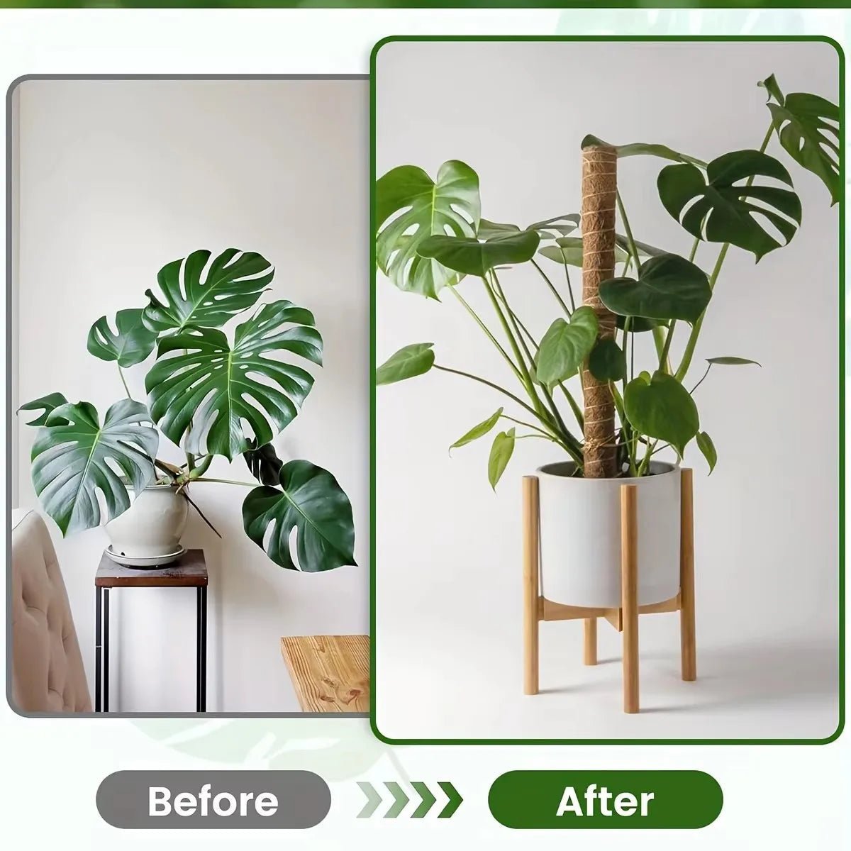 Retractable Plant Scaffold Useful Things for Garden Plants Accessories Outdoor Decor Stand Indoor Support Home Garden Plant - RELUX.STORE