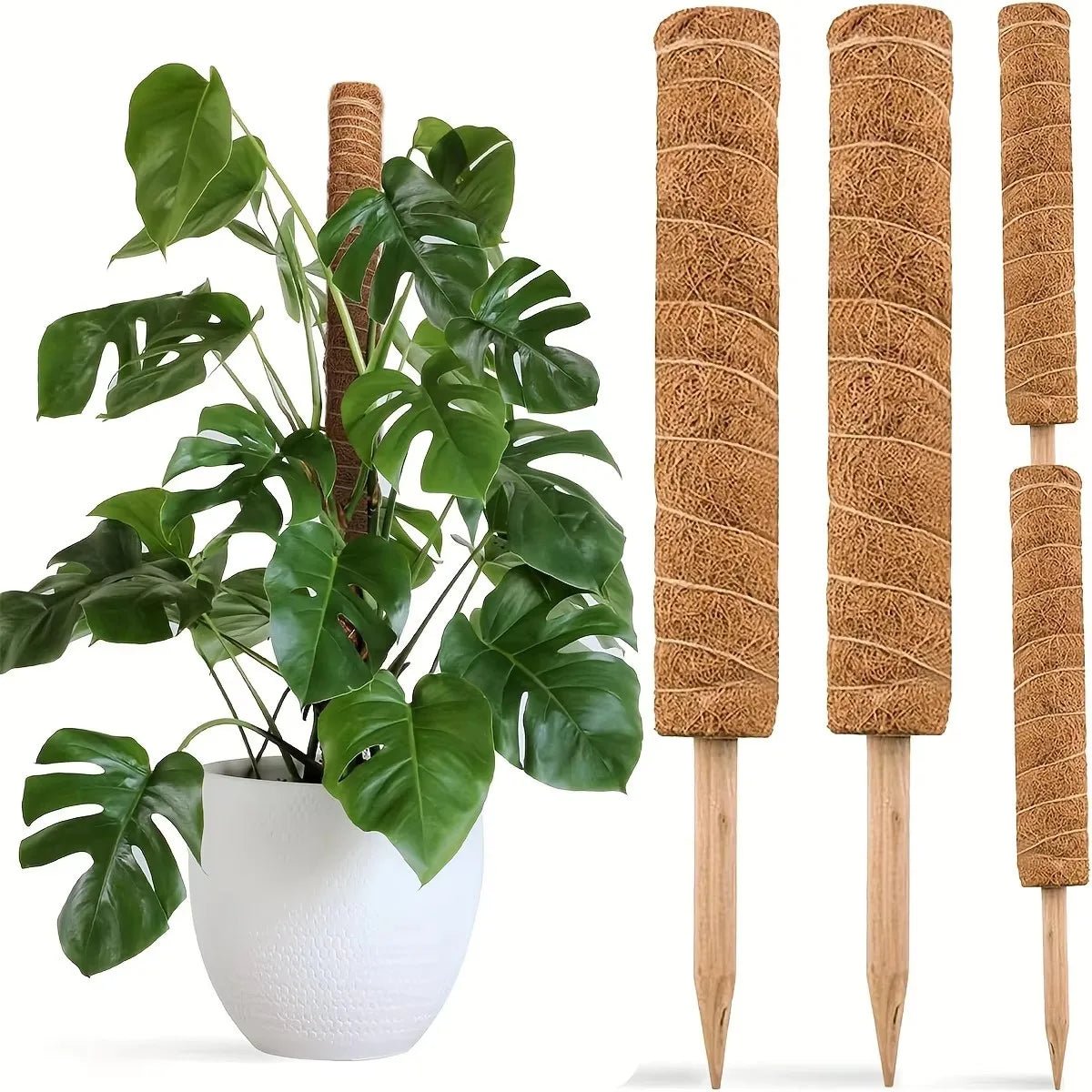 Retractable Plant Scaffold Useful Things for Garden Plants Accessories Outdoor Decor Stand Indoor Support Home Garden Plant - RELUX.STORE
