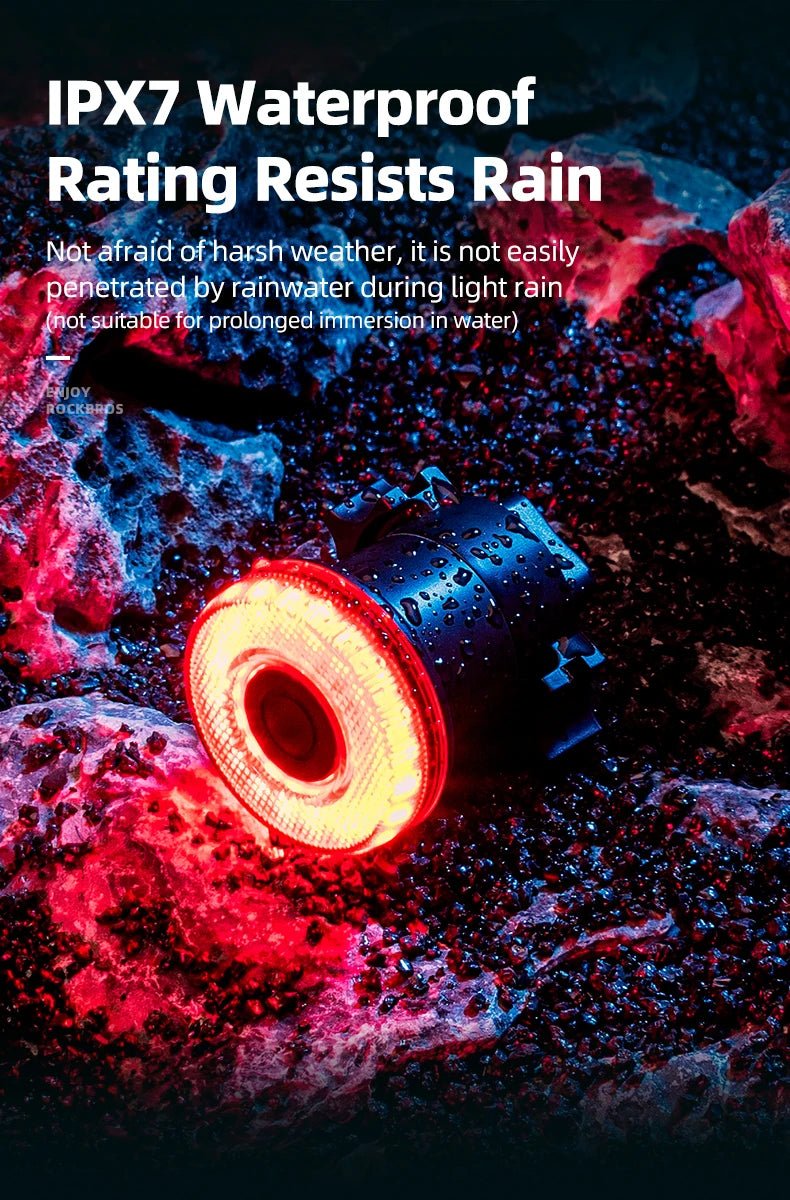 "ROCKBROS Smart Bike Tail Light – IPX6 Waterproof Rechargeable Rear Light for Night Riding, USB Type - C Charging" - RELUX.STORE