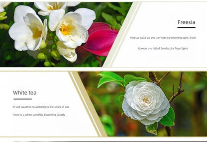 17 Flavors 10ml Essential Oils For Aroma Diffuser AirHumidifier Home Water - soluble Lavender Rose Eucalyptus White Peach Oolong - RELUX.STORE