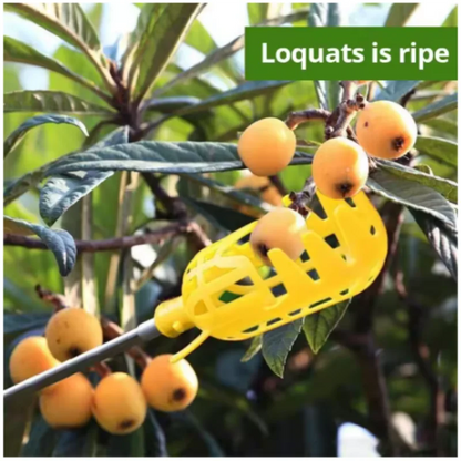 Farm Orchard Picking Tool - Deep Basket Fruit Picker Head, Convenient Fruit Catcher for Waxberries, Loquats & Apples