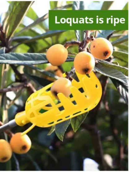 Farm Orchard Picking Tool - Deep Basket Fruit Picker Head, Convenient Fruit Catcher for Waxberries, Loquats & Apples