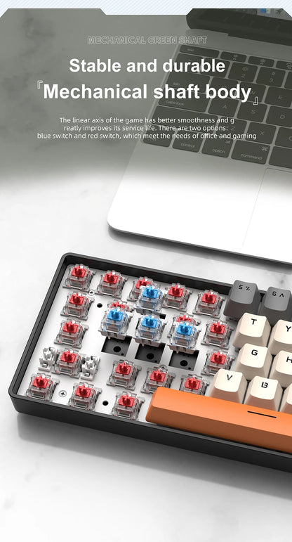 60% Portable Wired Mini Mechanical Keyboard, APAYADO K61 Mini Keyboard Wired,61 Keys Phantom RGB,Black,White,Red,Red/Blue Switch