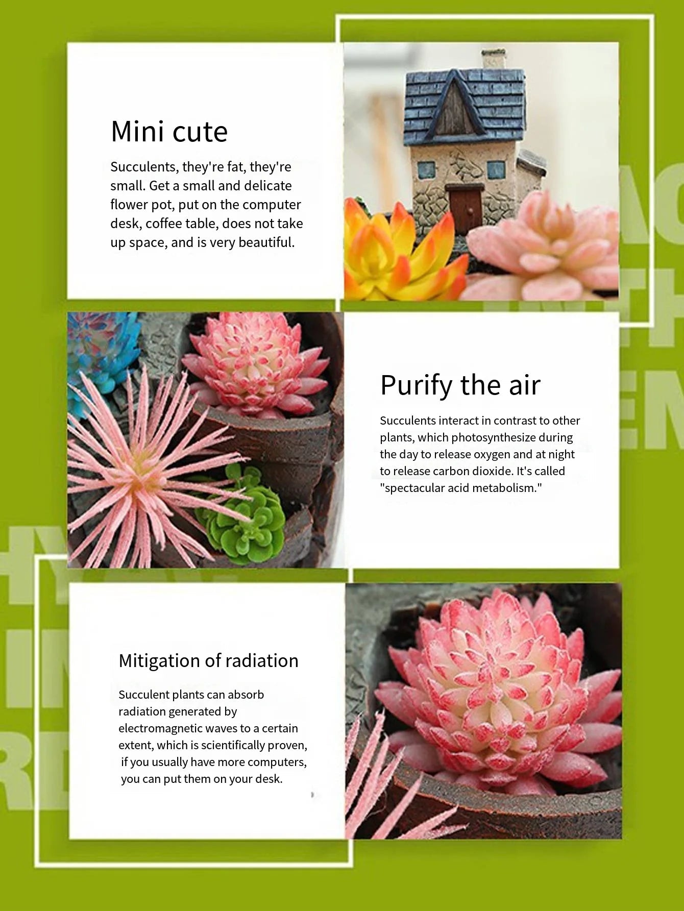 Nordic creative round succulent flower pot Lazy succulent pot succulent plant mini cartoon resin flower pot RELUX.STORE