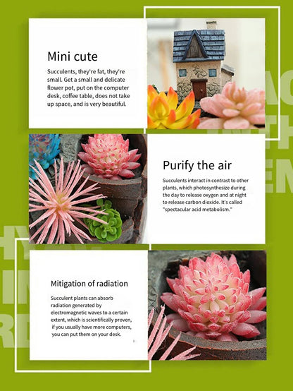 Nordic creative round succulent flower pot Lazy succulent pot succulent plant mini cartoon resin flower pot RELUX.STORE