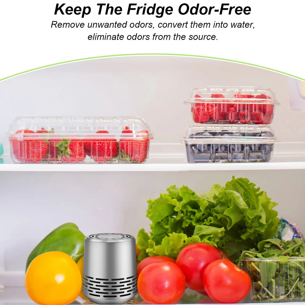 Stainless steel refrigerator deodorizer can last for 10 years refrigerator deodorization