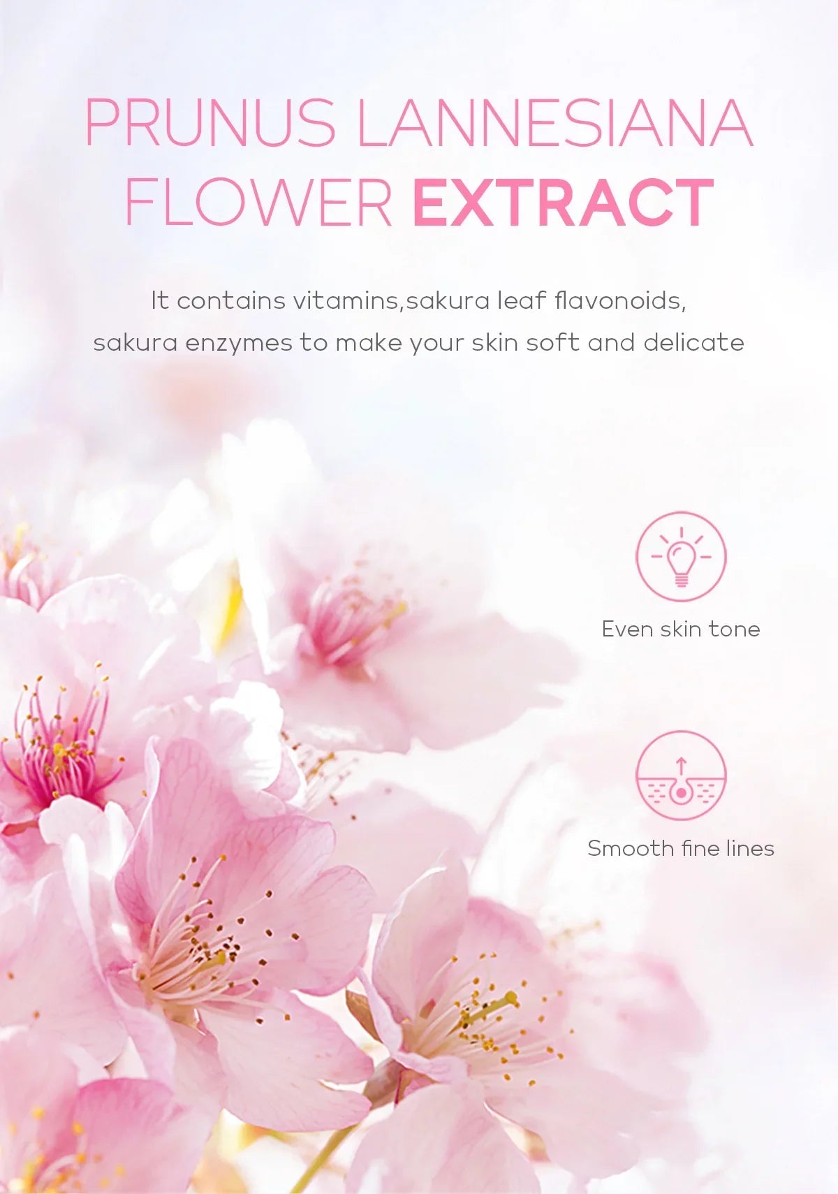 Sakura Face Deep Cleaning Exfoliating Gel Skin Care Whitening Moisturizer Repair Facial Scrub Skin Care 60g RELUX.STORE