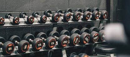 "Ab Roller Wheel – Heavy Duty Home Gym Equipment with Professional Metal Handle & Rubber Surface for Abdominal Workouts by Relux.Store" - RELUX.STORE