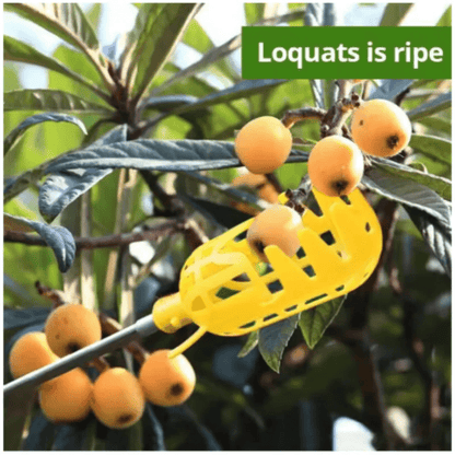 "Farm Orchard Fruit Picking Tool – Deep Basket Fruit Picker Head for Waxberries, Loquats, Apples & Citrus | Convenient Handheld Fruit Catcher" - RELUX.STORE