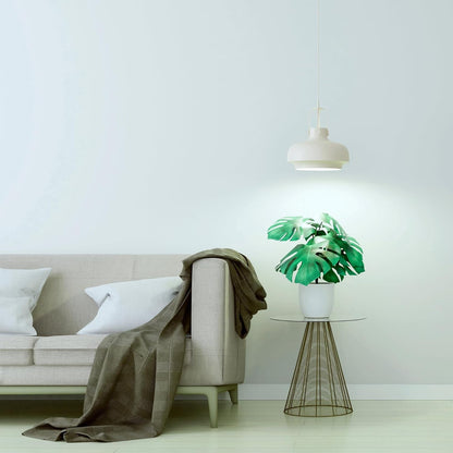 Indoor LED Grow Light Bulb PAR38 – Full Spectrum Plant Grow Light for Seeds, Herbs, and Greens, 50 PPF, 25,000 Hours Lifespan, 1 Pack - RELUX.STORE