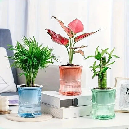 "Lazy Hydroponic Flower Pot – Transparent Self - Watering Planter, Automatic Water - Absorbing Double - Layer Plastic Pot for Office, Home & Garden" - RELUX.STORE