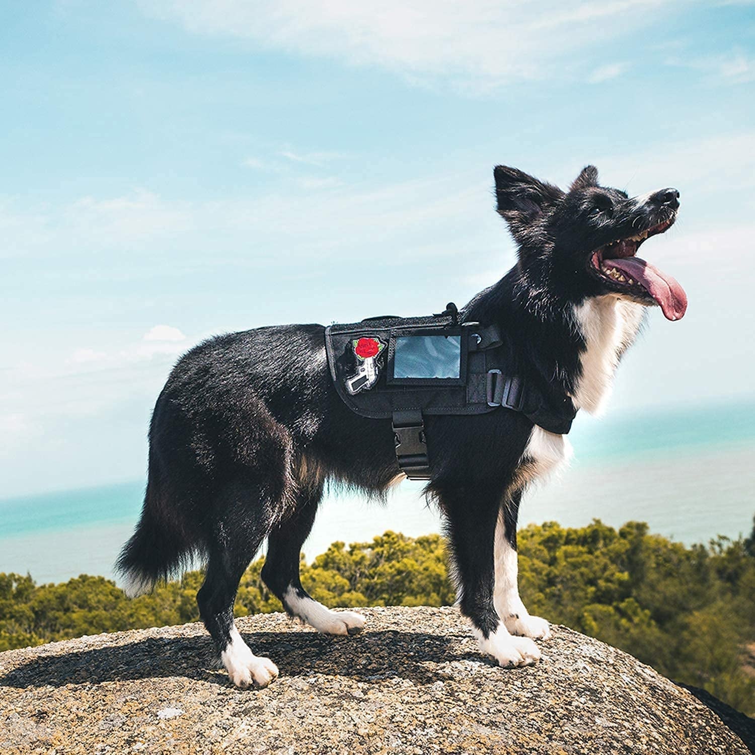Service Dog Harness – Large Dog Harness with Removable Neck Strap, Compatible with Assistance Harness & Handle (Black, Short Version) - RELUX.STORE