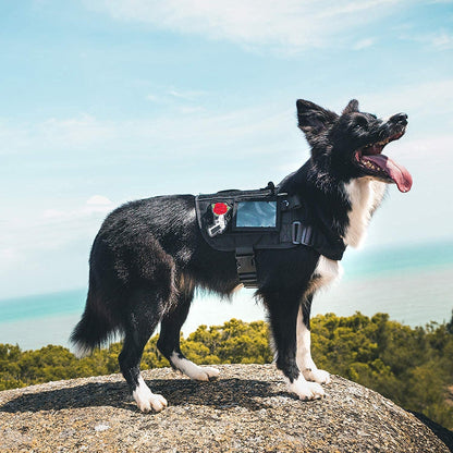 Service Dog Harness – Large Dog Harness with Removable Neck Strap, Compatible with Assistance Harness & Handle (Black, Short Version) - RELUX.STORE