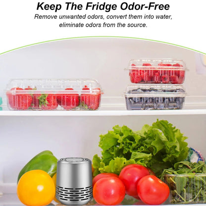 Stainless steel refrigerator deodorizer can last for 10 years refrigerator deodorization - RELUX.STORE