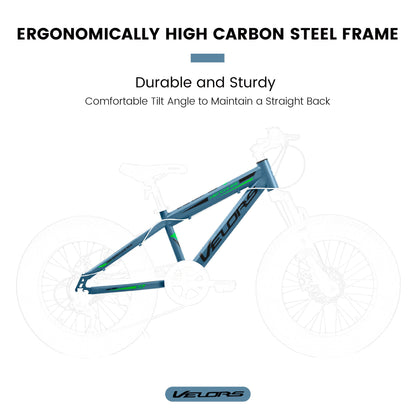 V20235 20 Inch Fat Tire Bike 7 Speed Mountain Bike, Dual Disc Brakes, High Carbon Steel Frame, Front Suspension, Mountain Buggy, City Commuter City Bike, Fat Tire Bike - RELUX.STORE