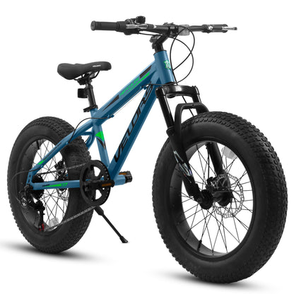 V20235 20 Inch Fat Tire Bike 7 Speed Mountain Bike, Dual Disc Brakes, High Carbon Steel Frame, Front Suspension, Mountain Buggy, City Commuter City Bike, Fat Tire Bike - RELUX.STORE