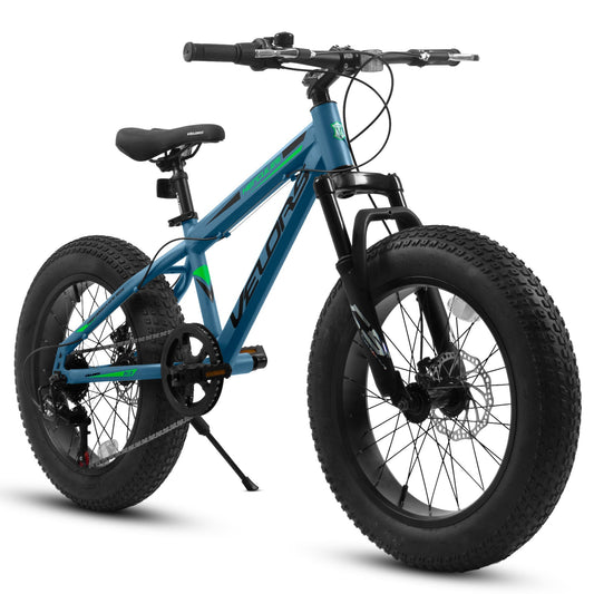 V20235 20 Inch Fat Tire Bike 7 Speed Mountain Bike, Dual Disc Brakes, High Carbon Steel Frame, Front Suspension, Mountain Buggy, City Commuter City Bike, Fat Tire Bike - RELUX.STORE